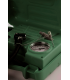 Compresor Con Valija Verde 12V